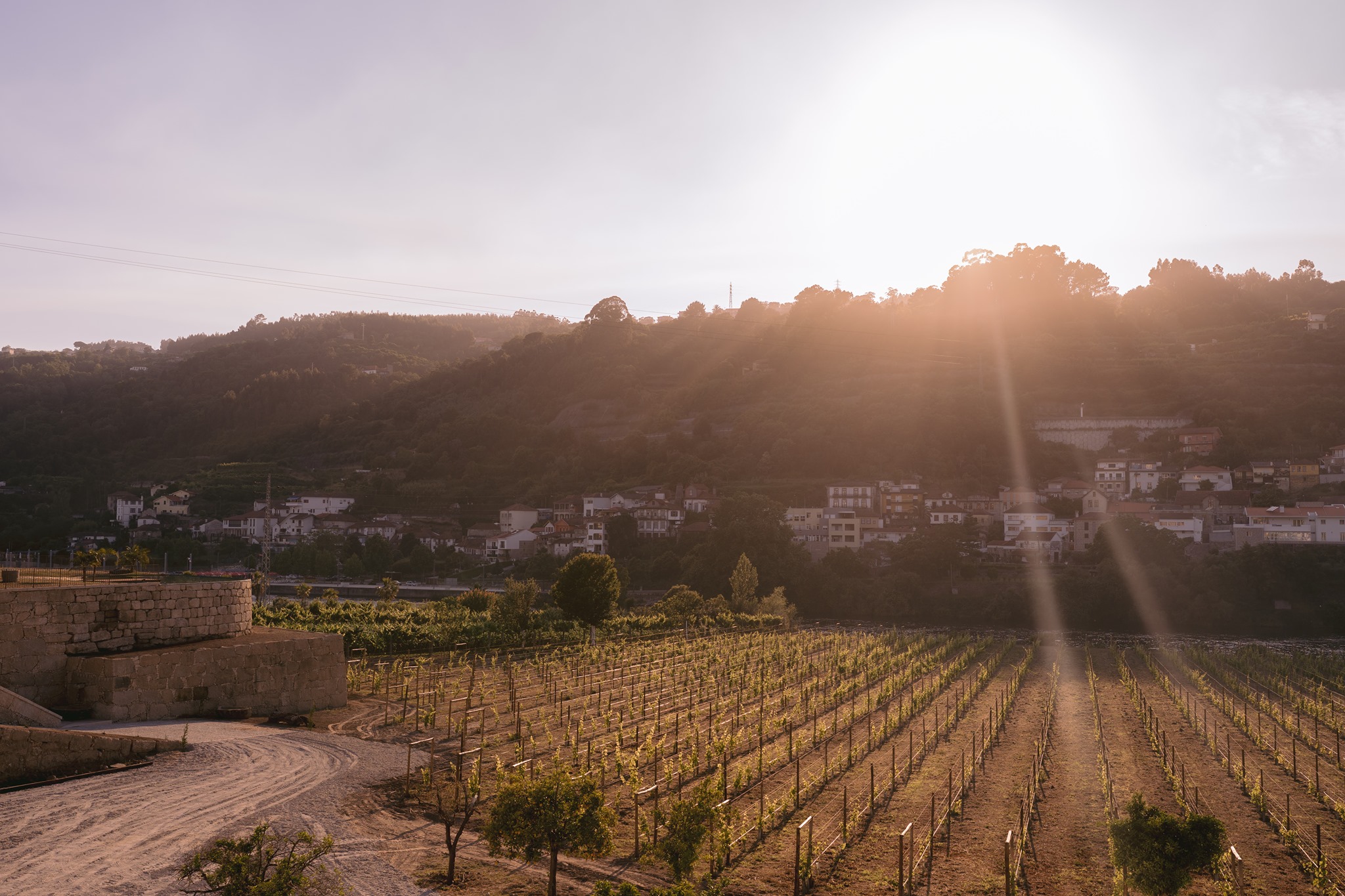 Quinta de Santo António