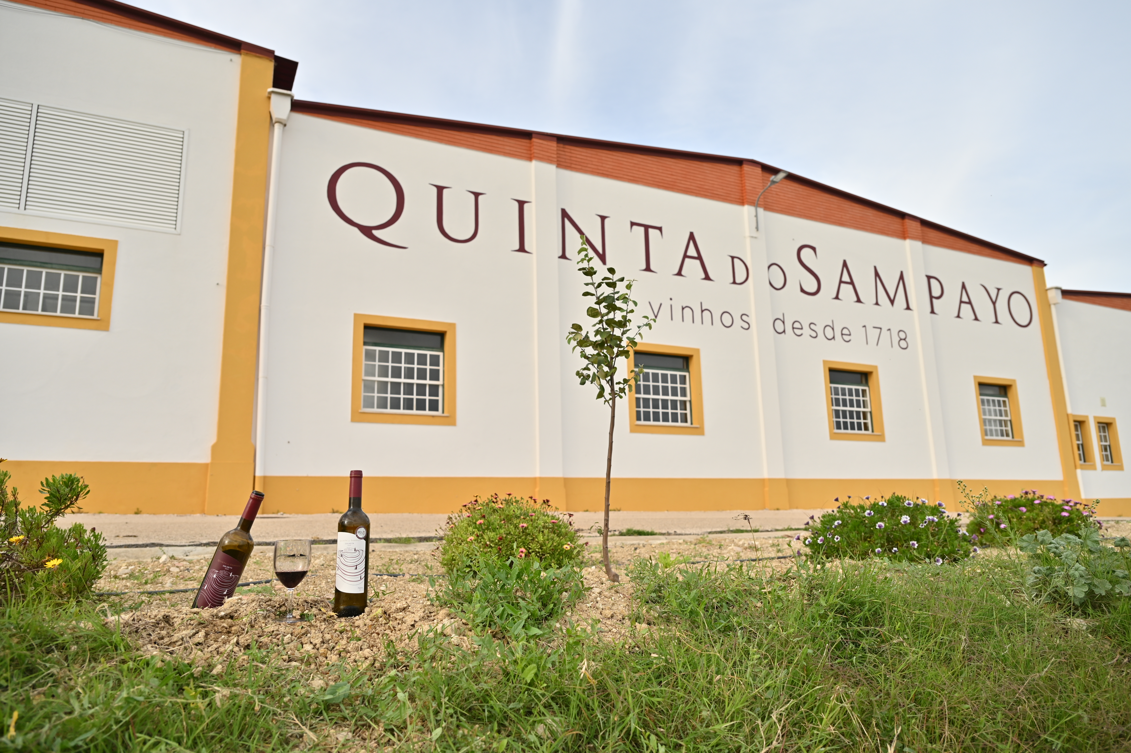 Quinta do Sampayo - Vineyard Weddings Venue