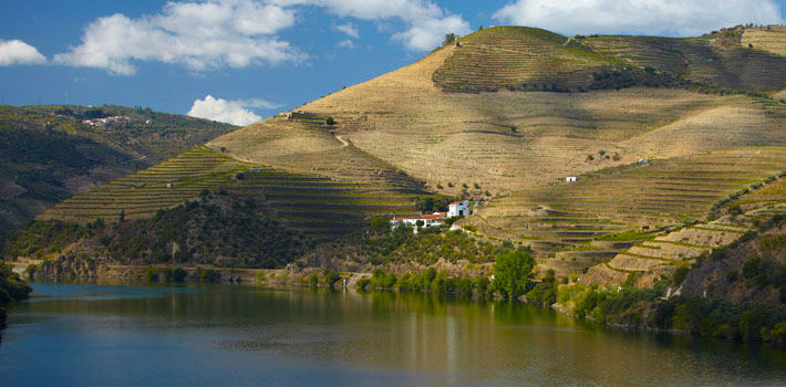 The Vintage House - Douro