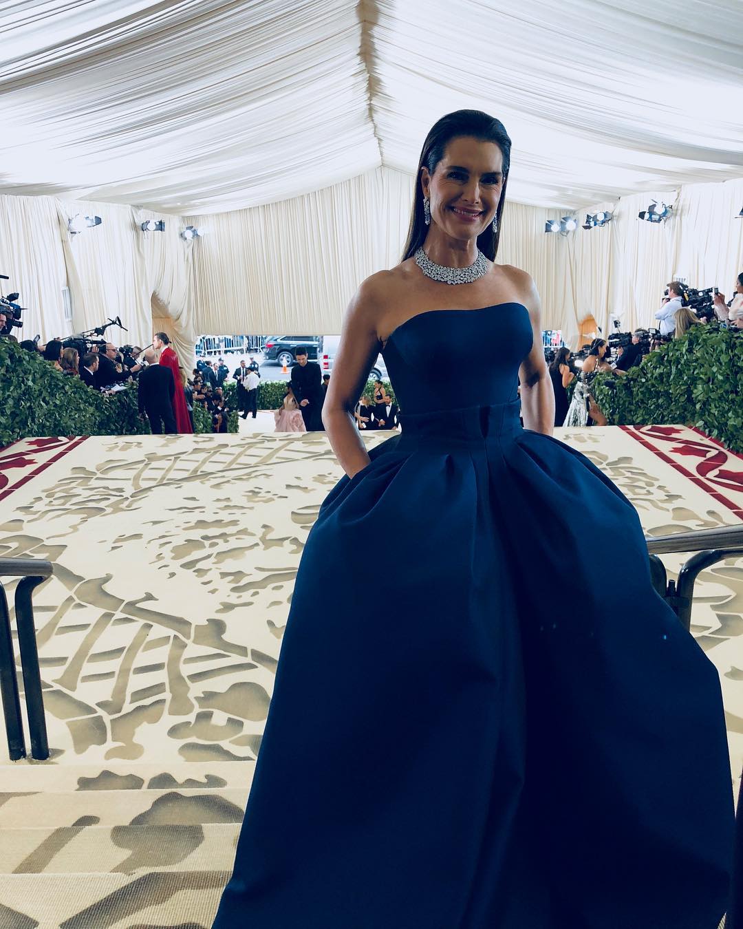 Brooke Shields em Zac Posen | Foto via IG @brookeshields