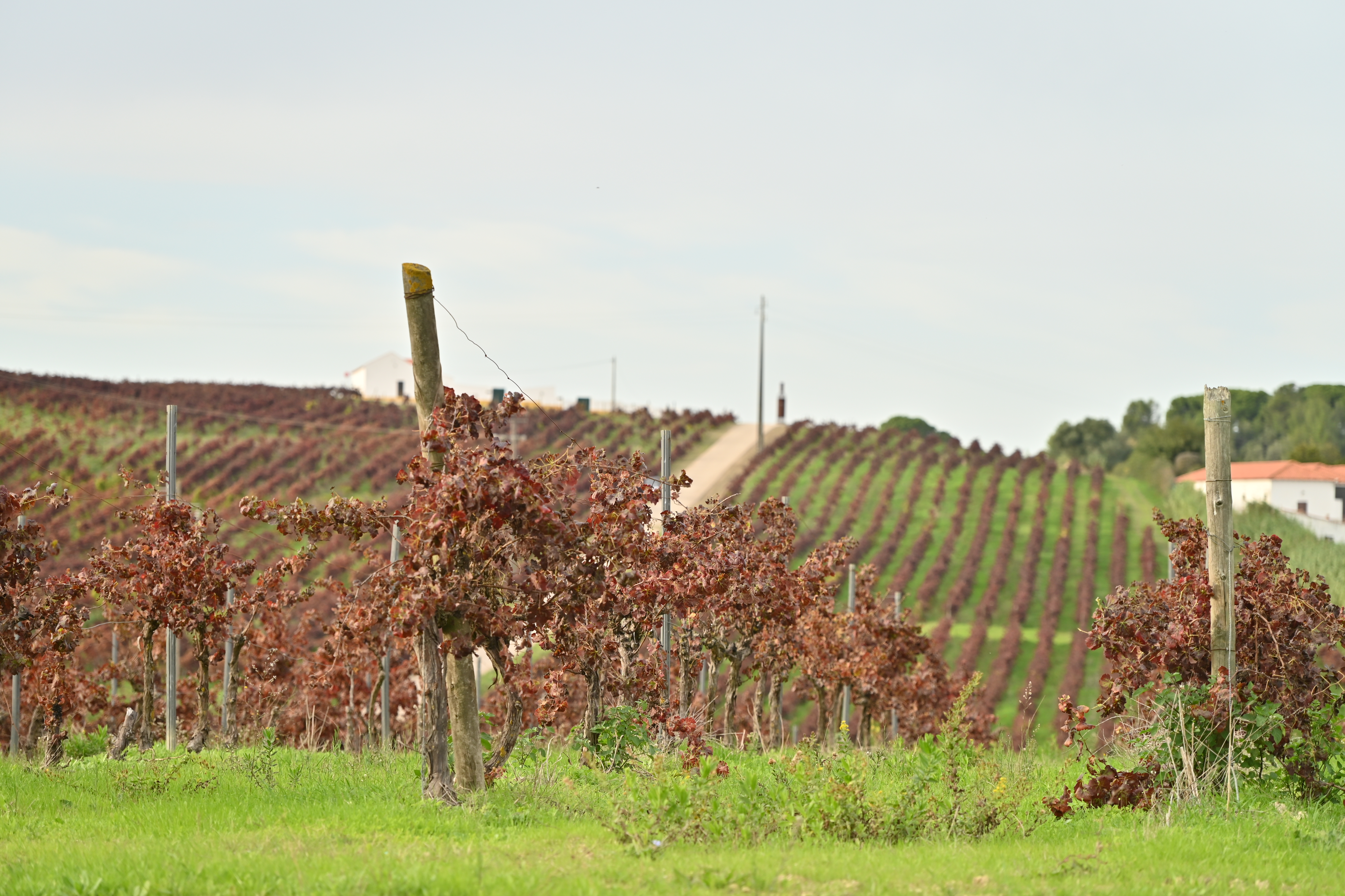 Quinta do Sampayo